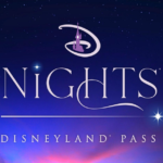 La Christmas Night soirée Pass Annuel de Disneyland Paris!