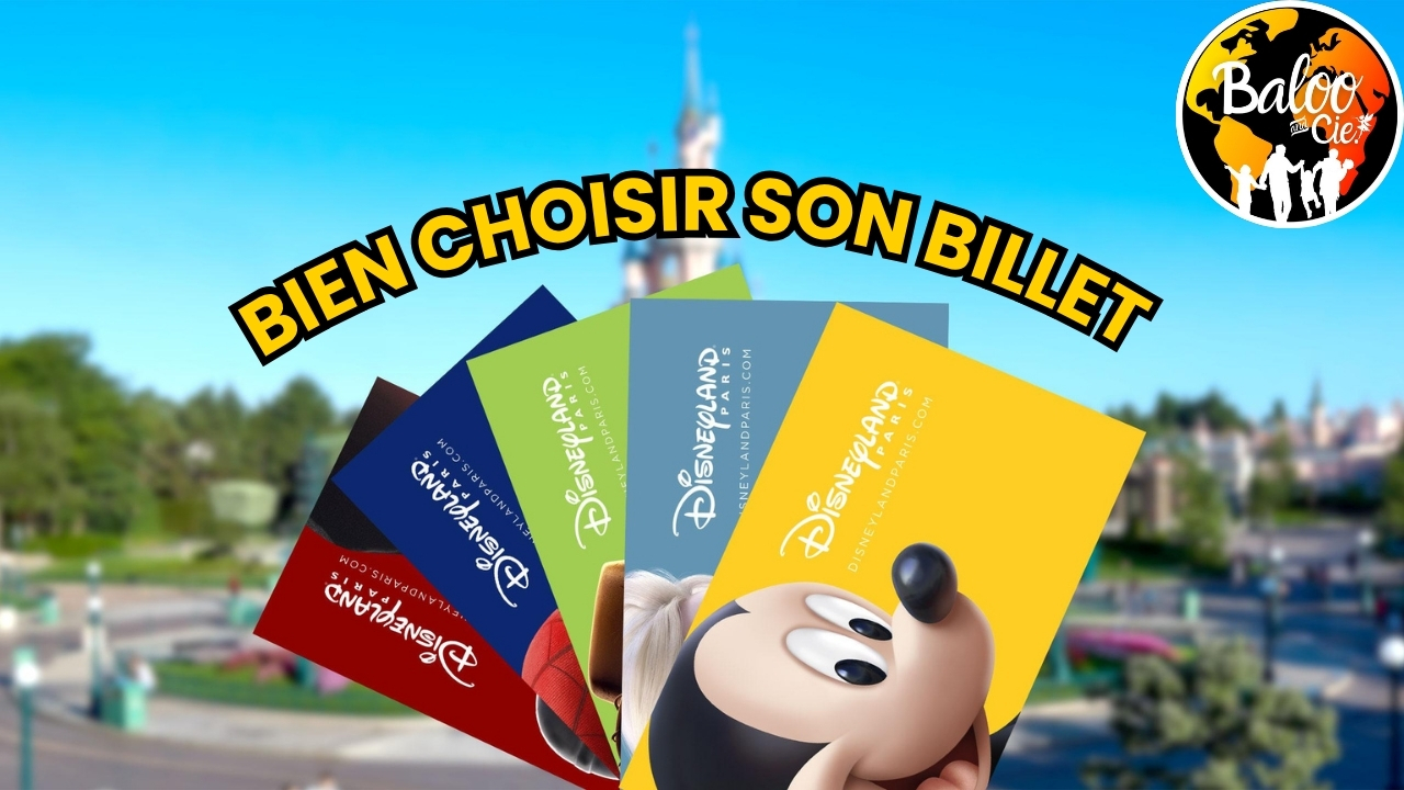 Bien choisir son billet à Disneyland Paris pour économiser !