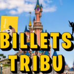 Billets Tribu Disneyland Paris 2025
