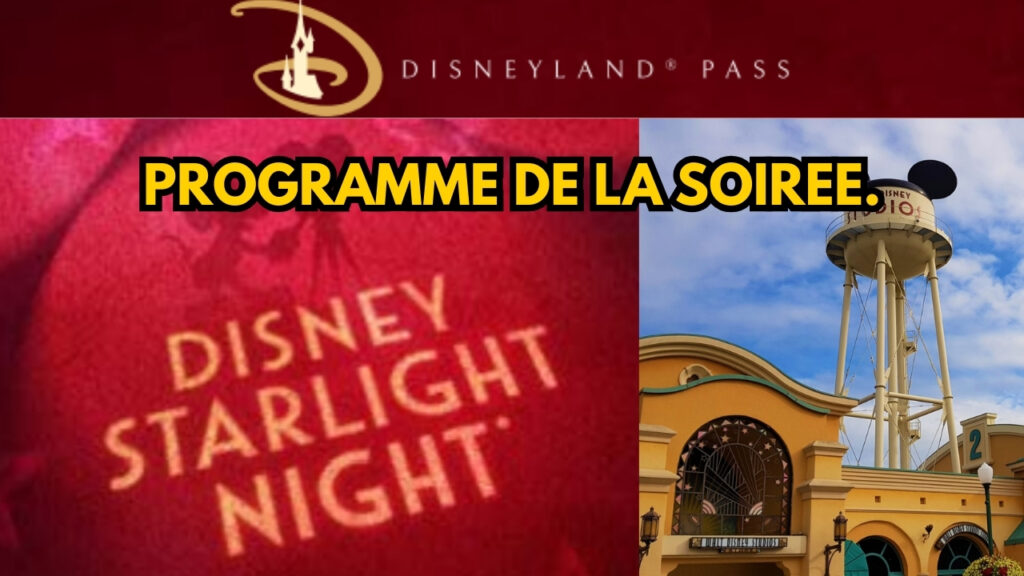 Disney Starlight Night, la soirée Disney pass 2025.