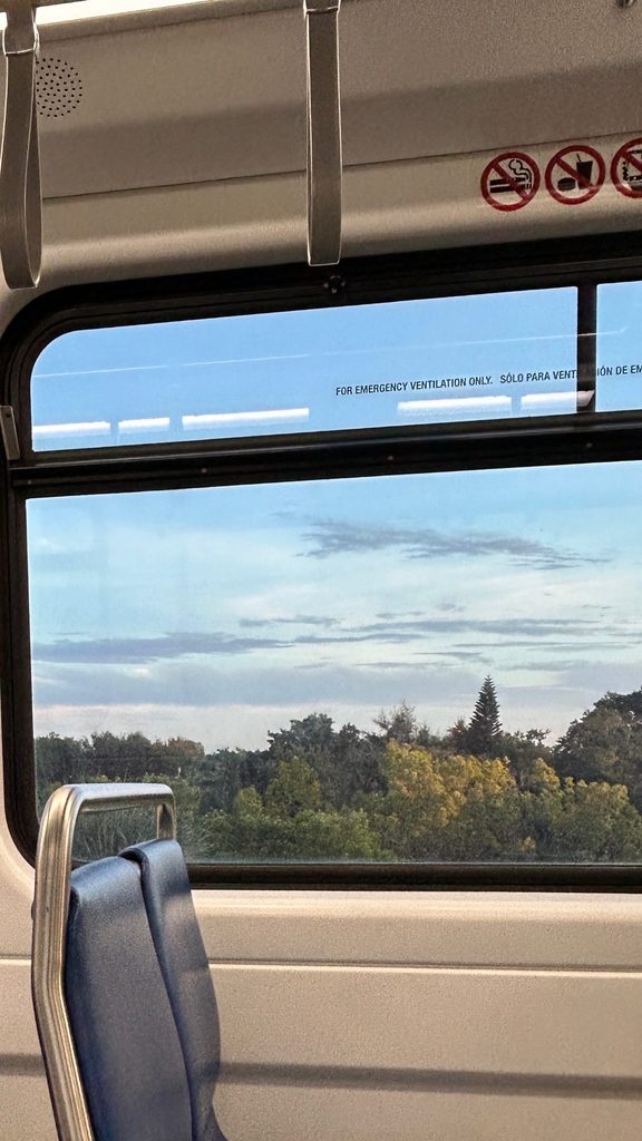 siège dans un train avec paysage foresier en arriere plan photo prise par Andrea Gonzalez