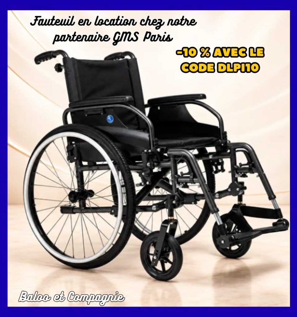 Fauteuil roulant manuel GMS Paris tout confort.